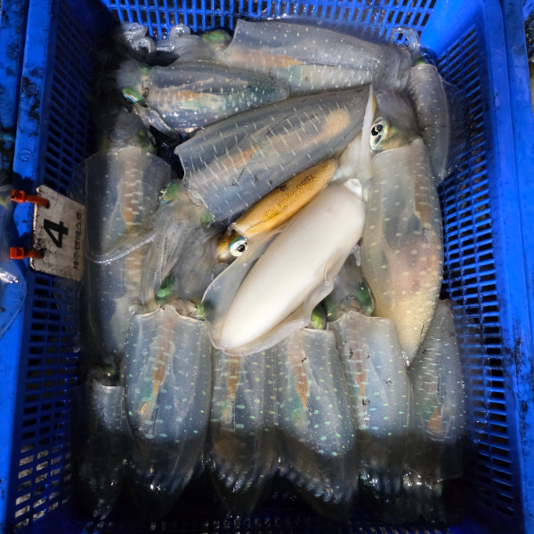 1000040186.jpg