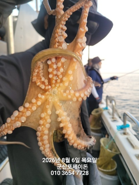 KakaoTalk_20260807_024439028_05.jpg
