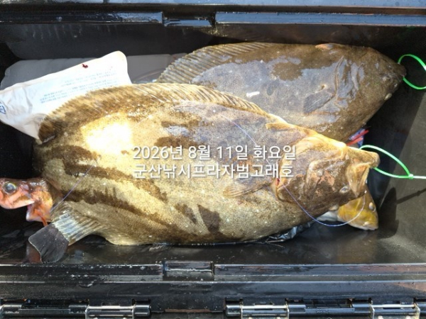 KakaoTalk_20260811_180256660_05.jpg