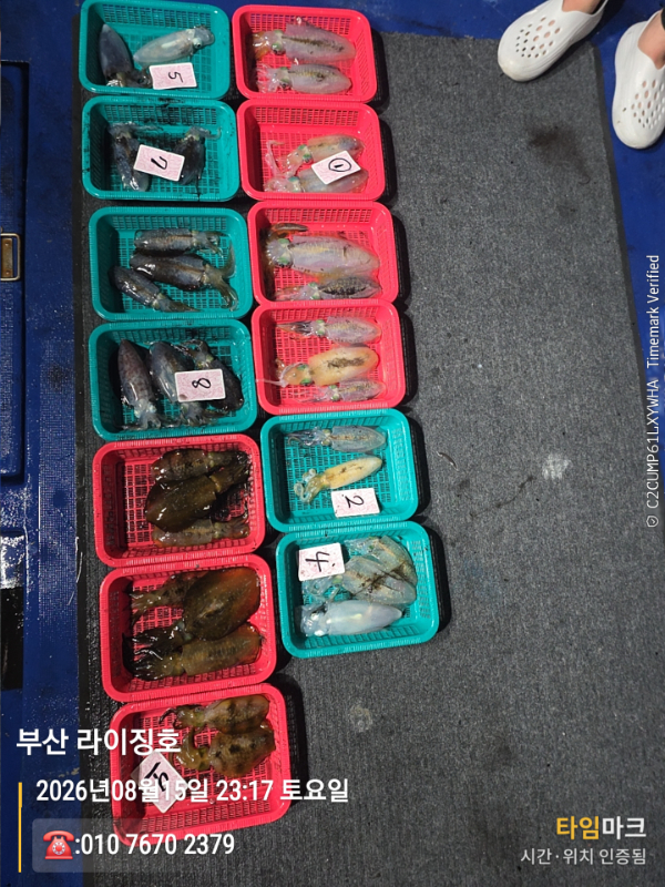 2026-08-15 23.17.09__(제목-부산 라이징호)_(-010 7670 2379).jpg