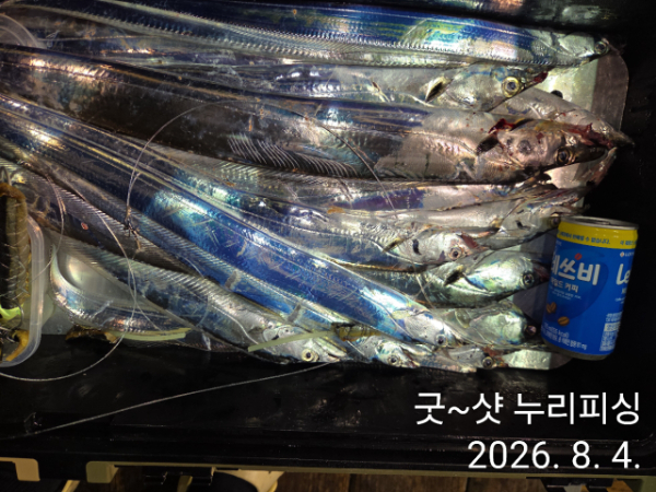 90800.jpg