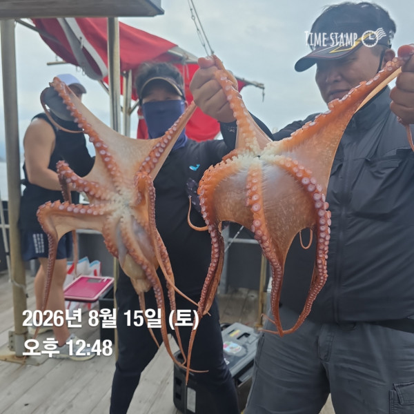 공현진낚시마트(돌핀호)_사진_20260815_16.jpg