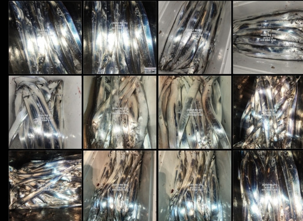 KakaoTalk_20260829_141851056_01.jpg