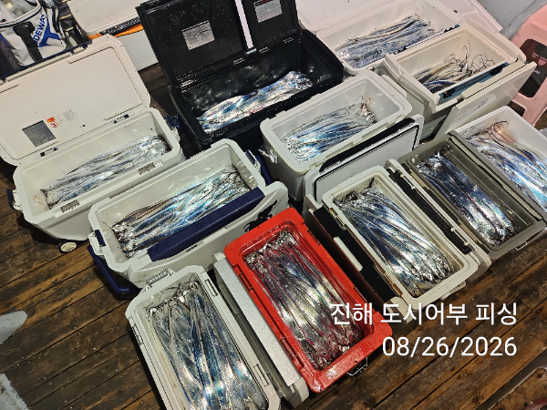 KakaoTalk_20260826_052535049_09.jpg