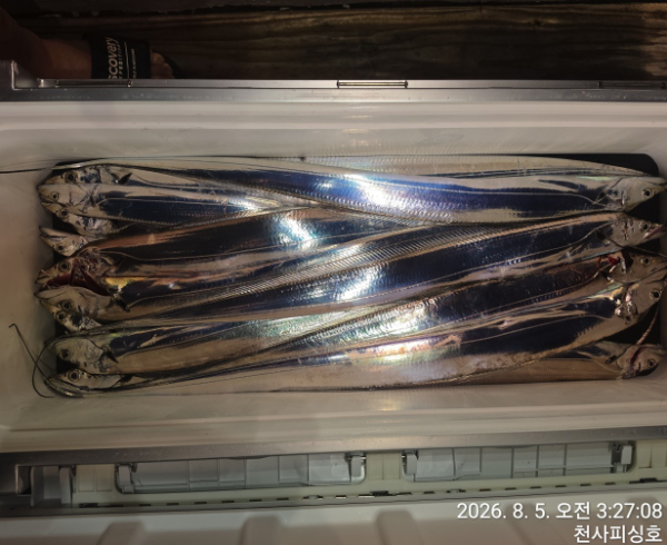 1004피싱_사진_20260805_13.jpg