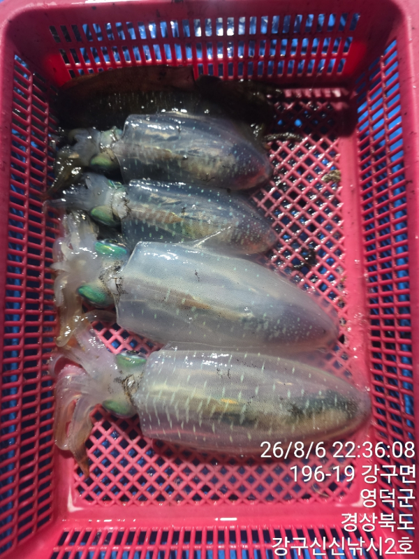 신신낚시 강구점 신신호_사진_20260807_7.jpg