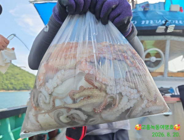쎄븐피싱클럽(선상 버스출조전문)_사진_20260821_1.jpg