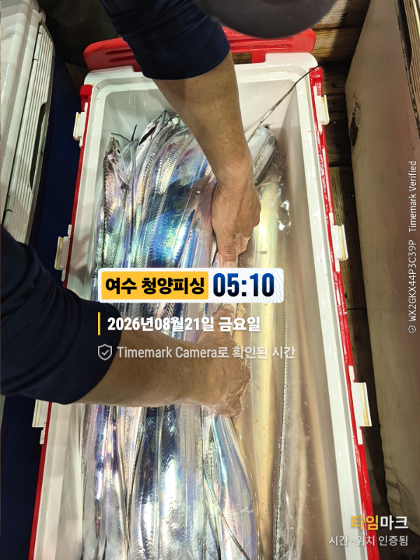 2026-08-21 05.10.15__(제목-여수 청양피싱).jpg