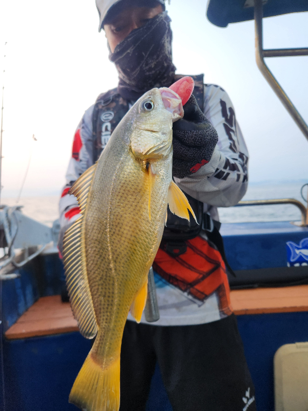 KakaoTalk_20260807_201645232_05.jpg