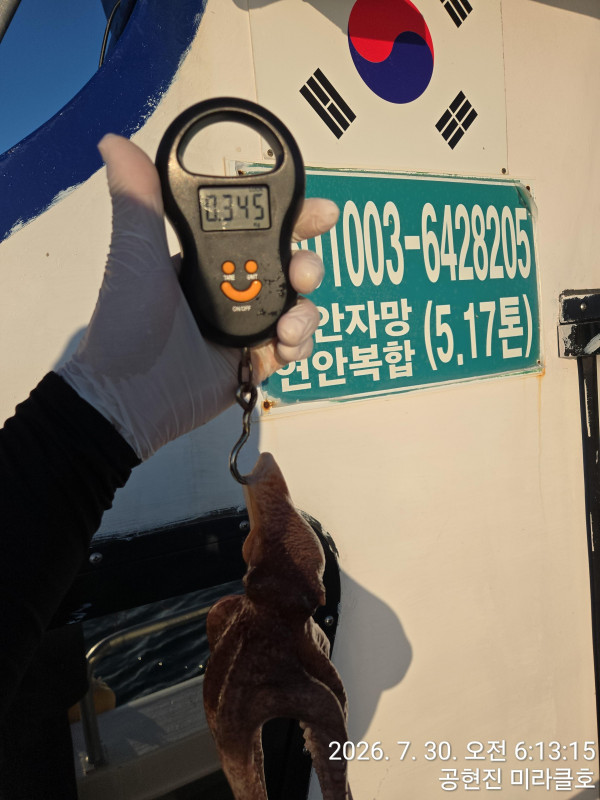 1000046529.jpg