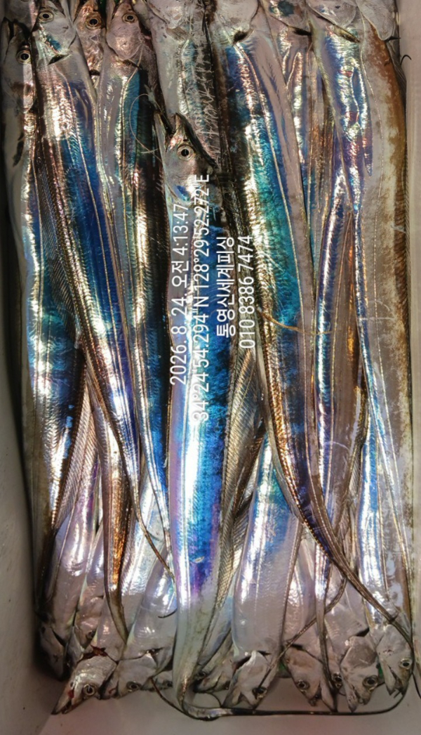 1787519685511.jpg