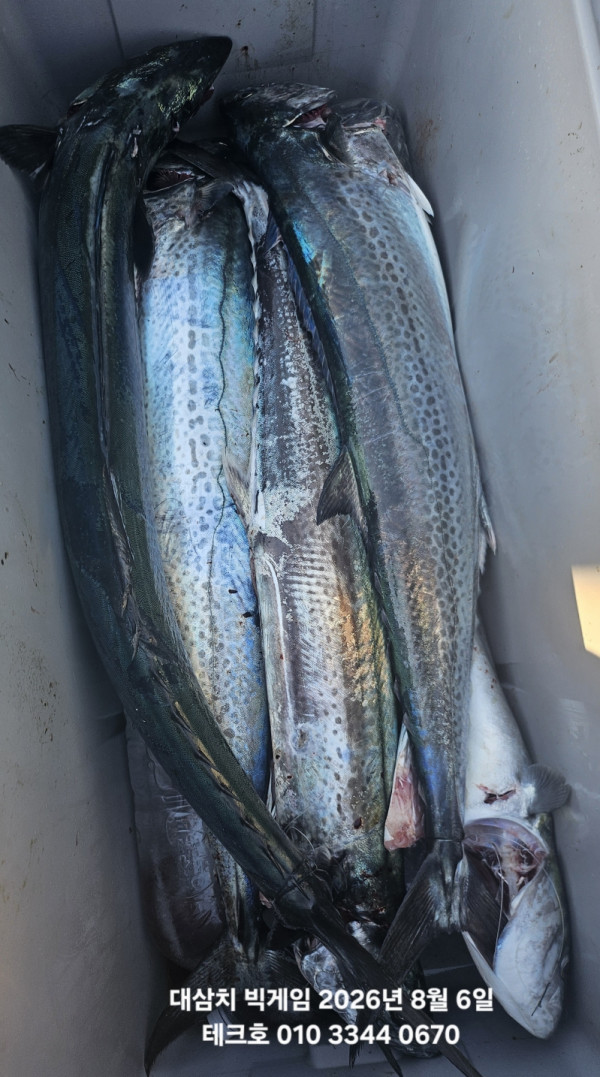 KakaoTalk_20260806_184012791_17.jpg
