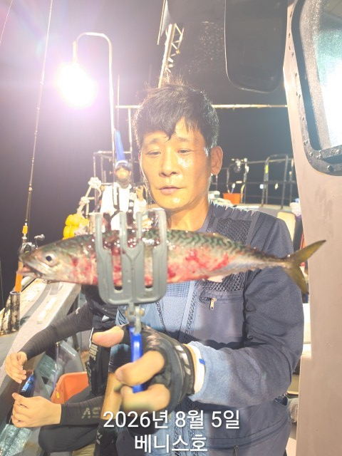 KakaoTalk_20260806_050931927_19.jpg