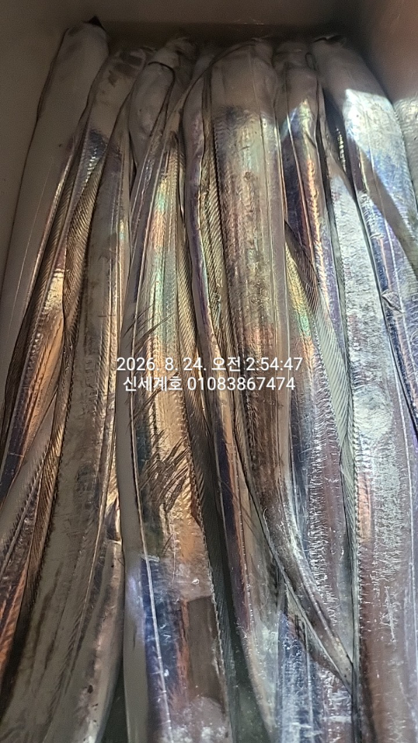 1787519703120.jpg
