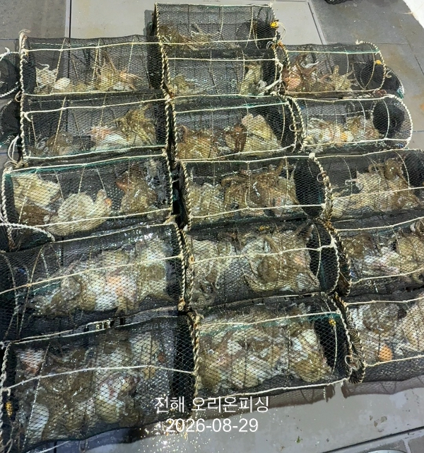 KakaoTalk_20260829_033032375.jpg