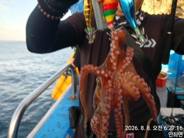 KakaoTalk_20260808_081955813_06.jpg