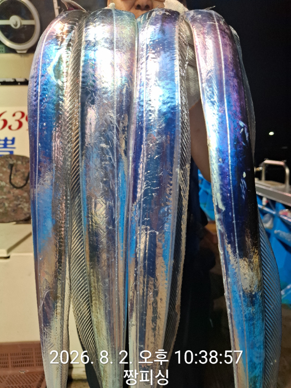 1000081306.jpg