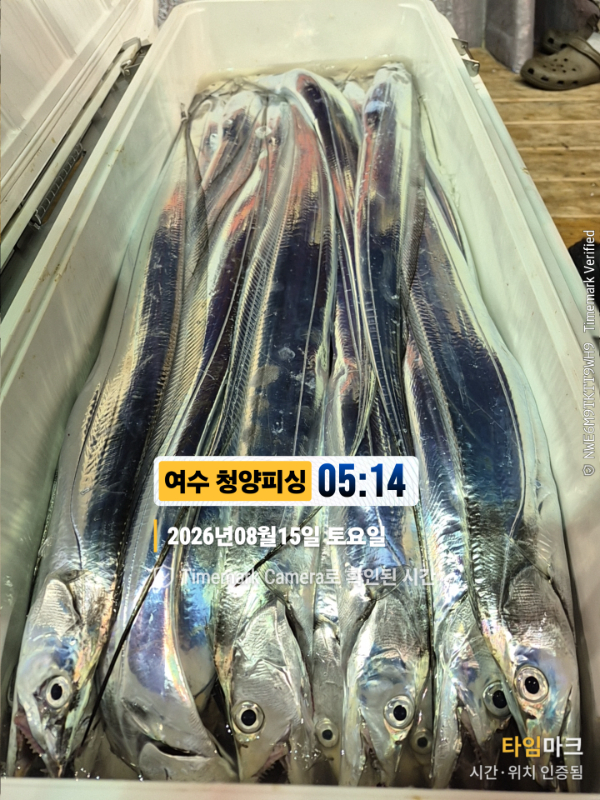2026-08-15 05.14.40__(제목-여수 청양피싱).jpg