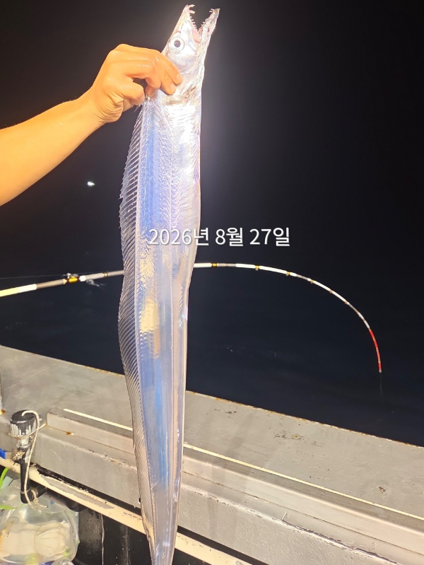 C104780D-E621-40E3-9A0A-008E4D9DA95A.jpeg