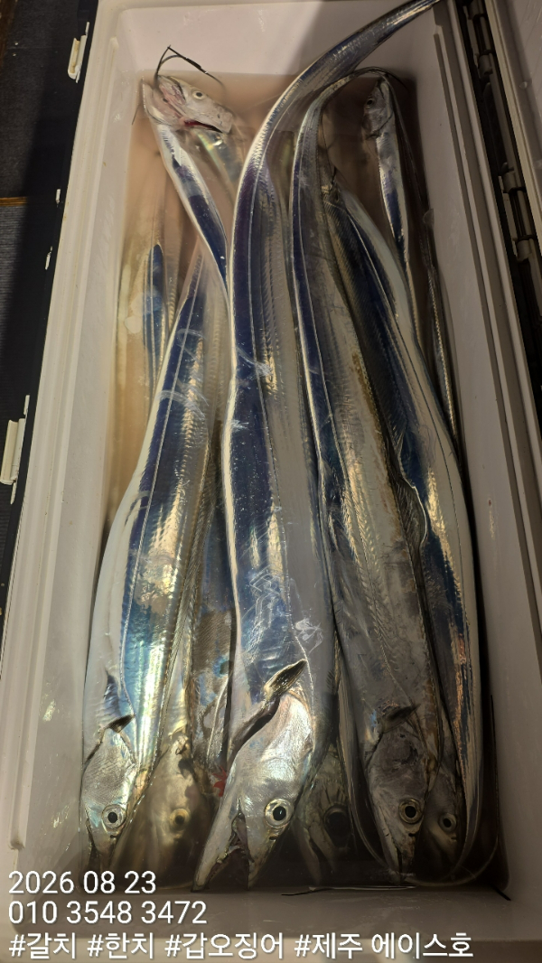 KakaoTalk_20260823_114721509_02.jpg