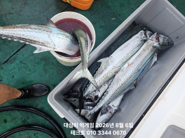 KakaoTalk_20260806_190534947_01.jpg