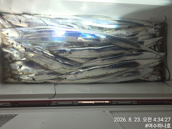 KakaoTalk_20260823_044416086_05.jpg