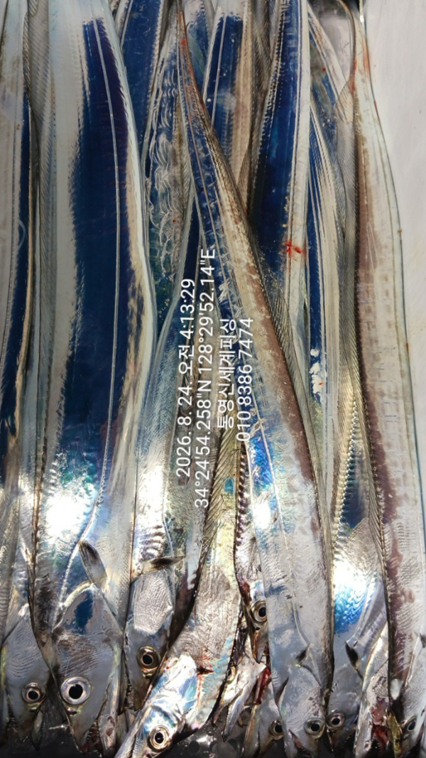 1787519685653.jpg