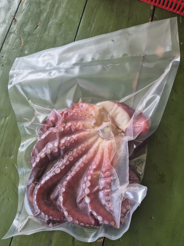 공현진낚시마트(돌핀호)_사진_20260823_11.jpeg