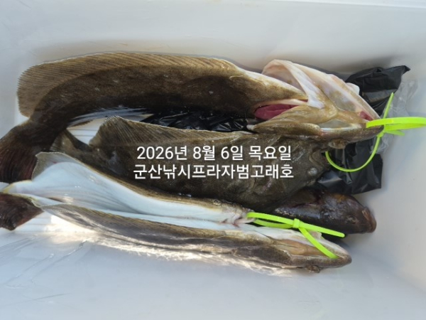 KakaoTalk_20260806_161146142_03.jpg