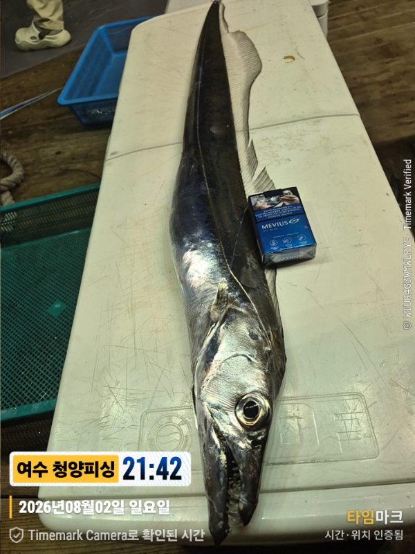 2026-08-02 21.42.41__(제목-여수 청양피싱).jpg