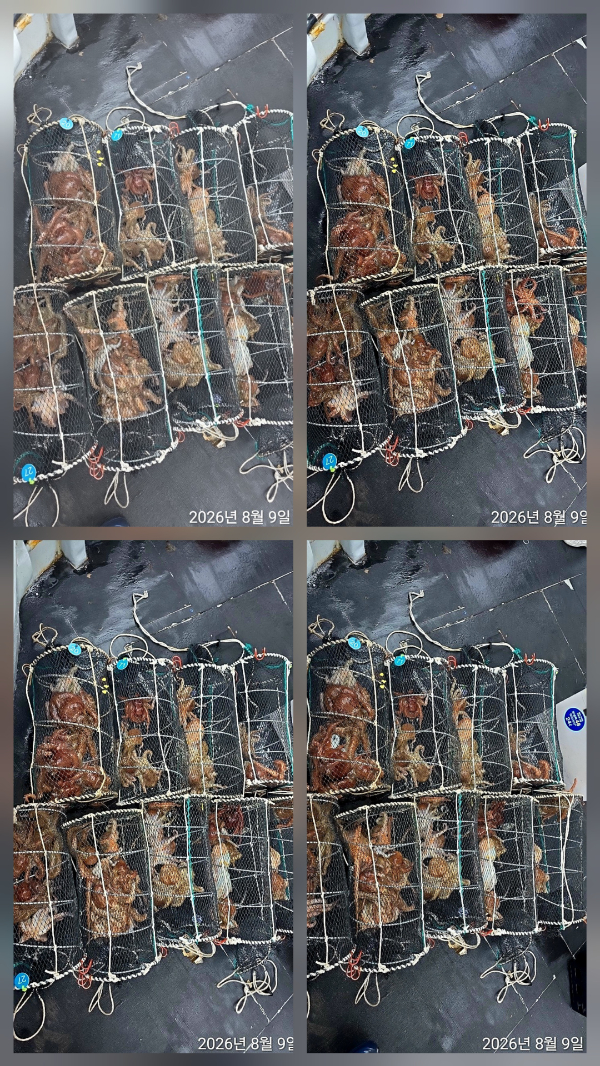 1000155993.jpg