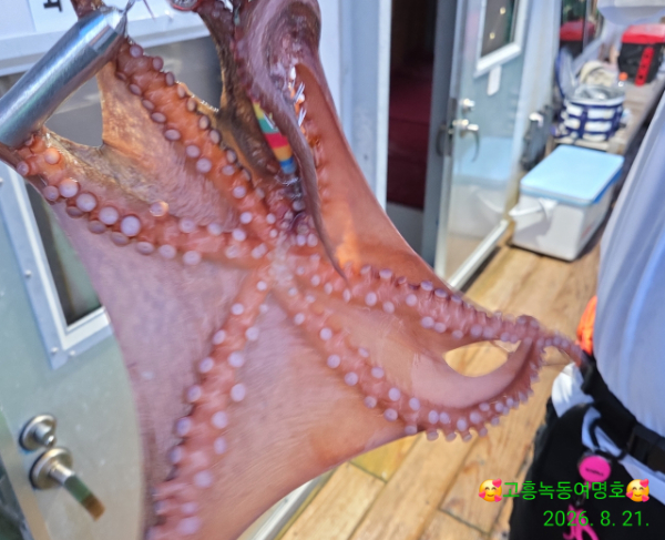쎄븐피싱클럽(선상 버스출조전문)_사진_20260821_19.jpg