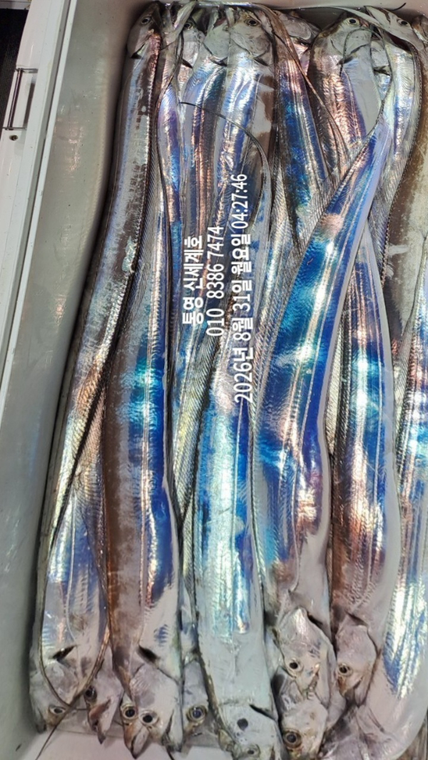 1788130785787.jpg
