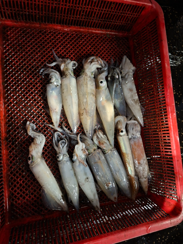 KakaoTalk_20260828_014655877.jpg