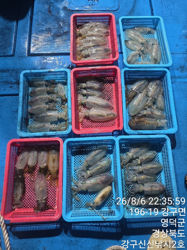 신신낚시 강구점 신신호_사진_20260807_6.jpg