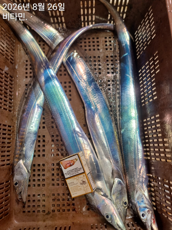 1000083900.jpg