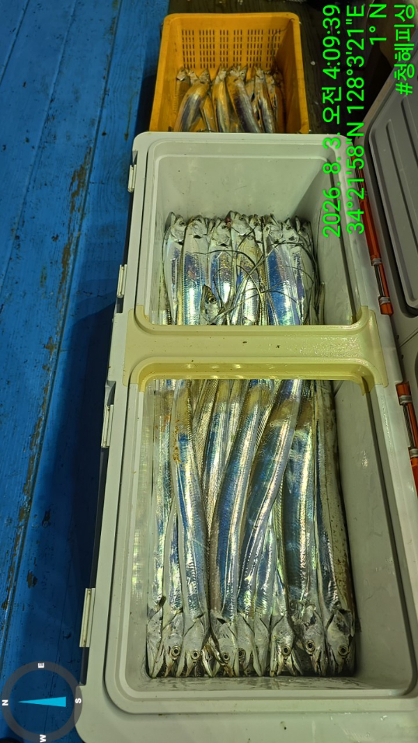 TimePhoto_20260803_040939.jpg