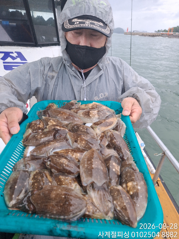 34142.jpg