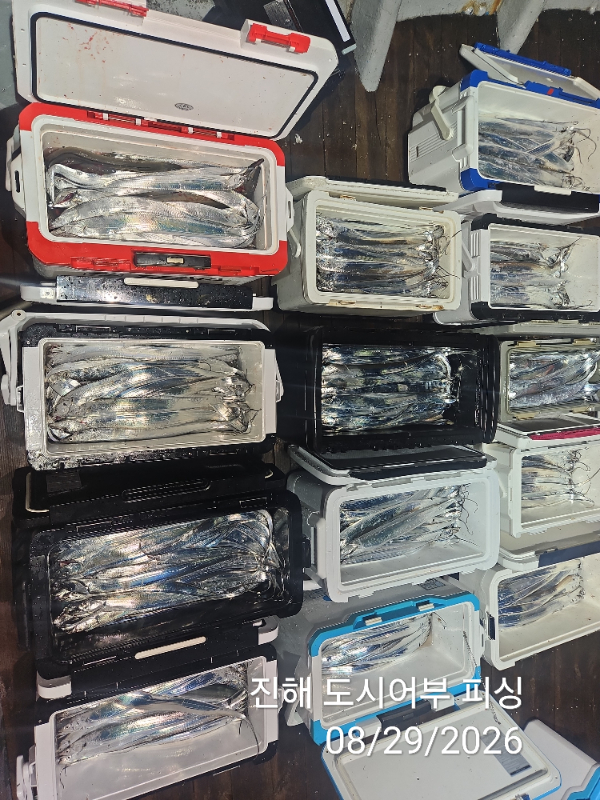 KakaoTalk_20260829_050630697_07.jpg