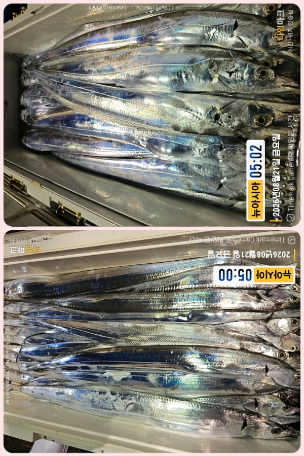 KakaoTalk_20260821_054121446_01-down.jpg