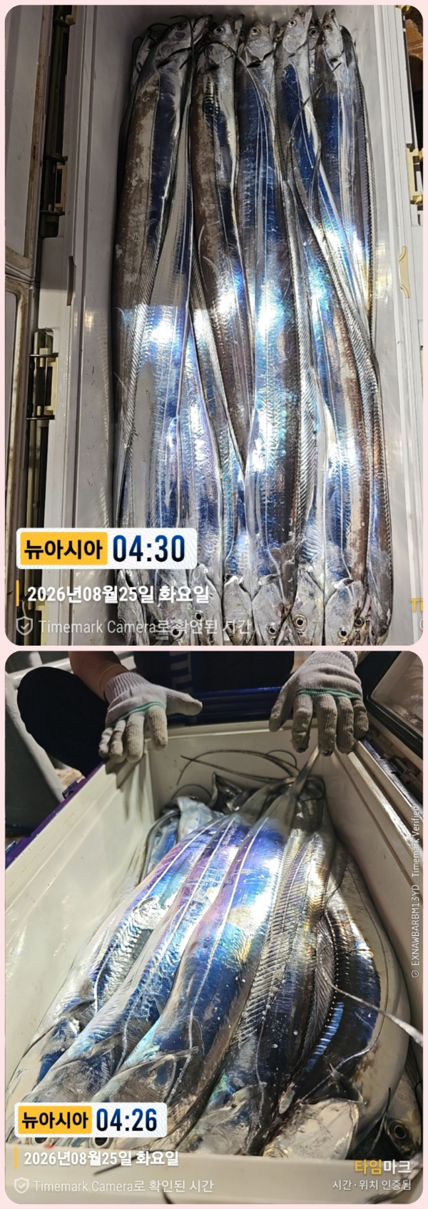 KakaoTalk_20260825_060703642_14-down.jpg
