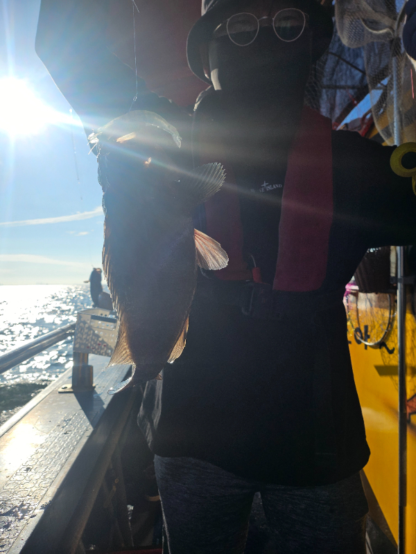 447.jpg