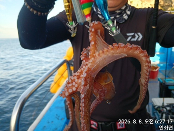 KakaoTalk_20260808_081955813_08.jpg