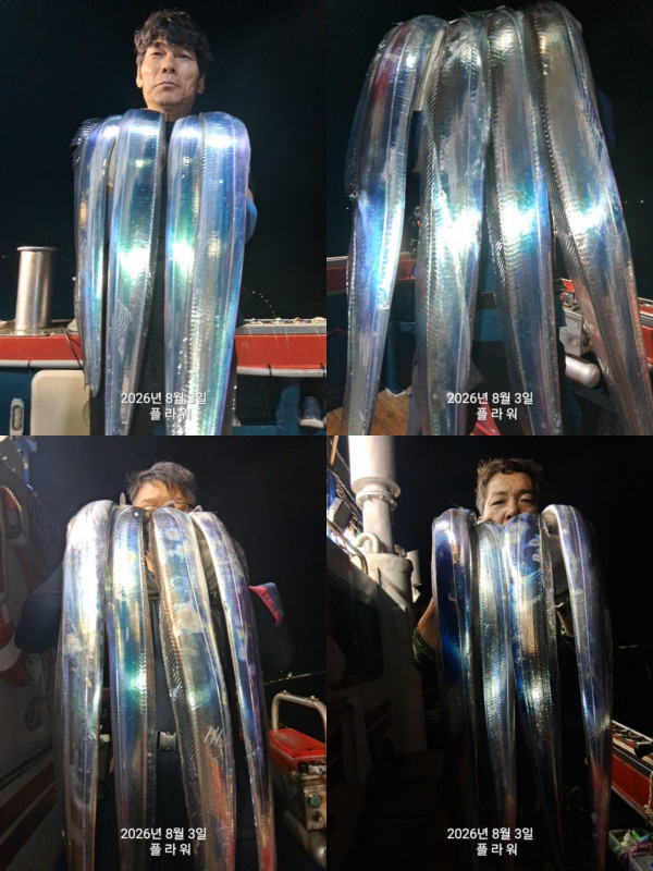 20260803_141345.jpg