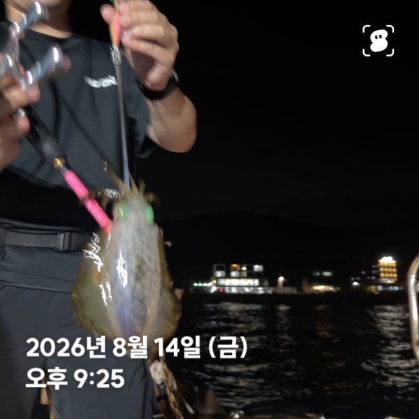 신신낚시 강구점 신신호_사진_20260815_15.jpg