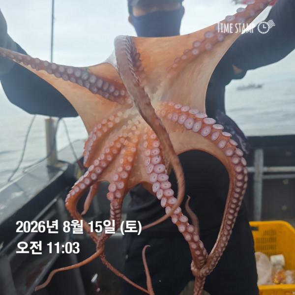 공현진낚시마트(돌핀호)_사진_20260815_12.jpg