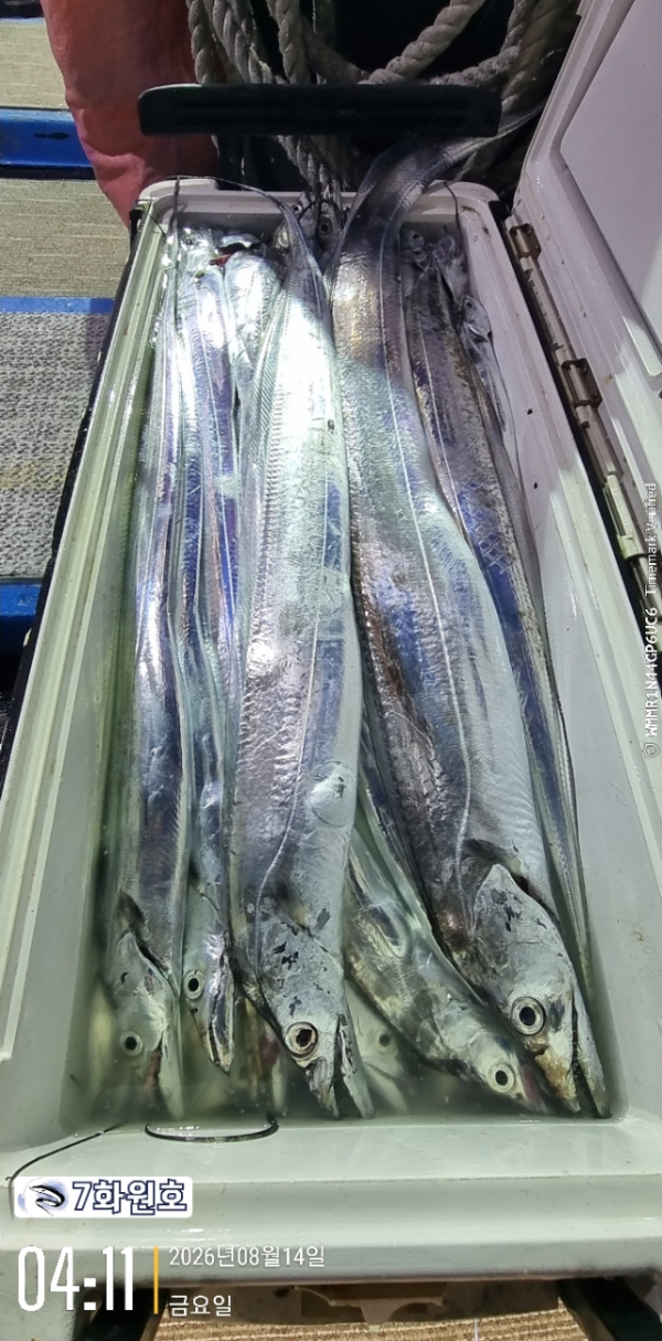 AC26EFAA-D505-4A04-8459-1ABB53F86367.jpeg