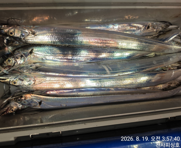 1004피싱_사진_20260819_6.jpg