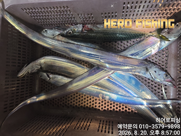 E2CE8094-FF8F-4BB7-B094-2ED6A202F3F7.jpeg
