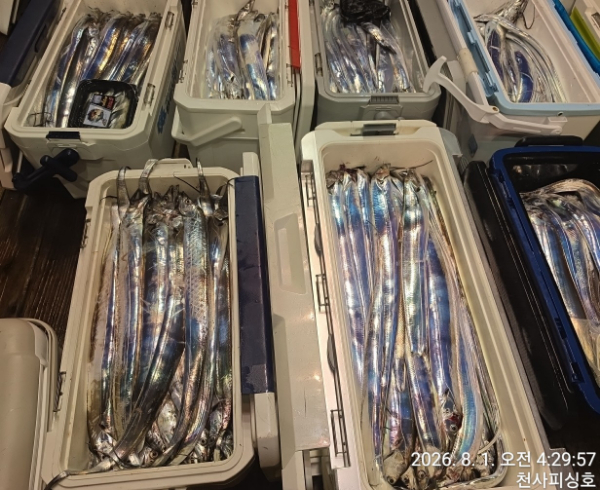 1004피싱_사진_20260801_4.jpg